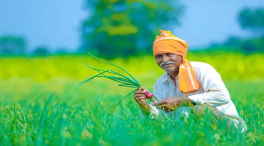 25 percent of the crop insurance compensation will be paid in advance
