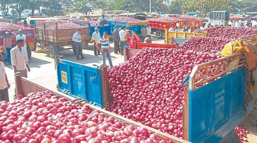 Onion rate