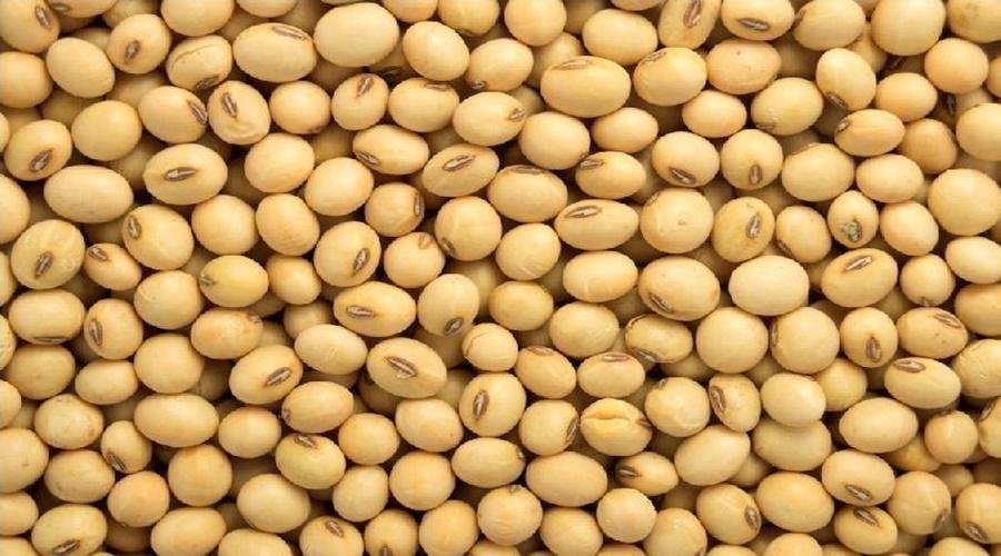 Soybean Rate