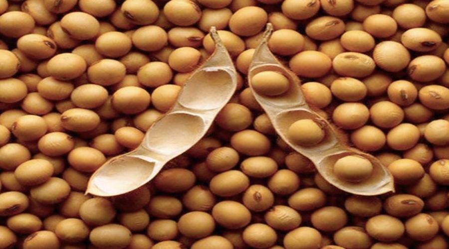 Soybean Rate