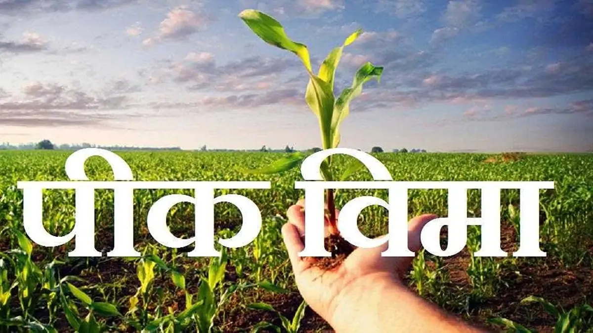 Crop insurance