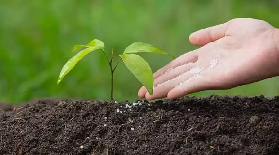 Fertilizer Information