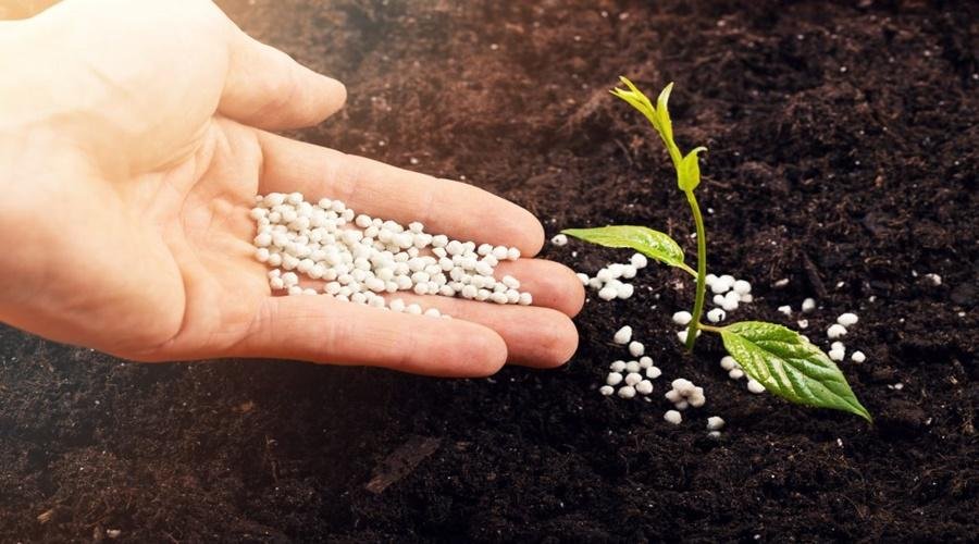 Fertilizer Managment