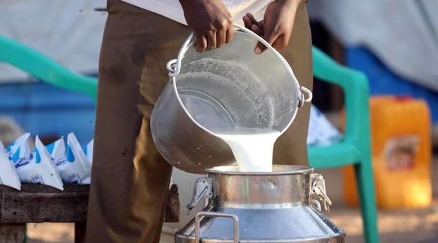 Milk rate