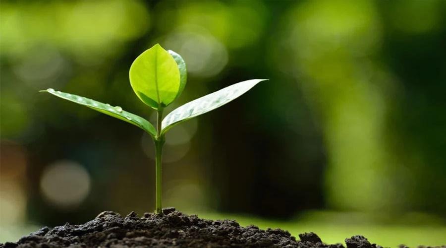 Organic Farming