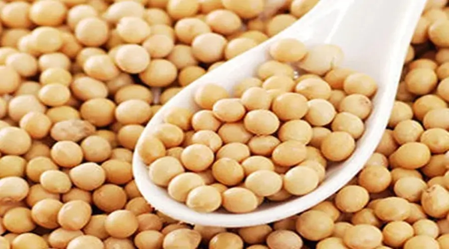 Soybean Rate
