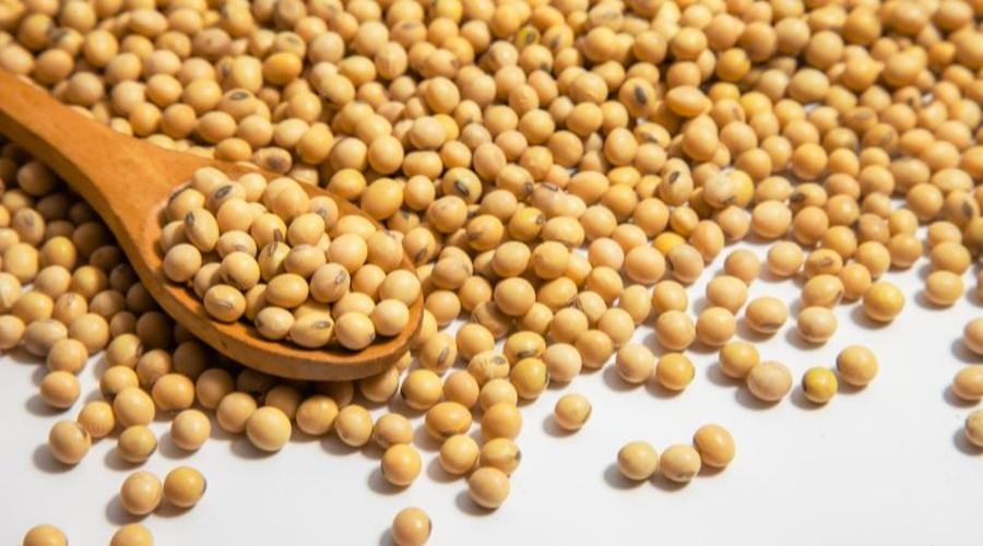 Soybean Rate