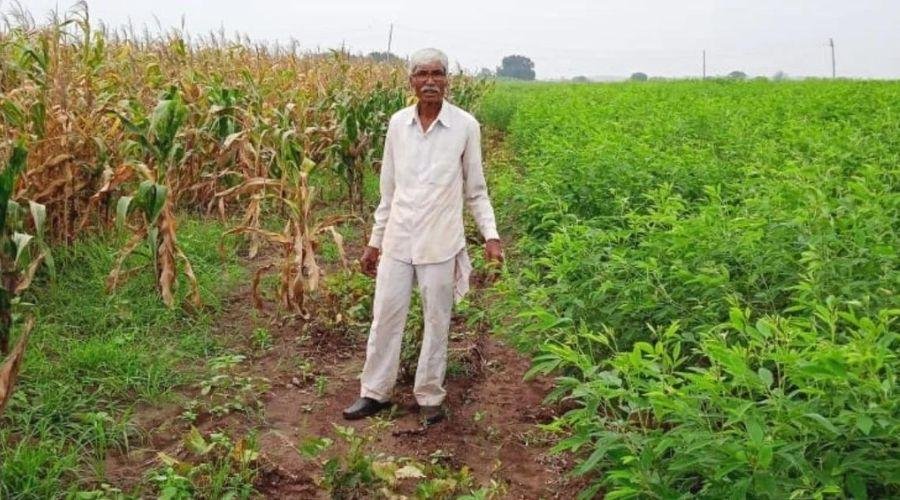Agriculture Exhibition