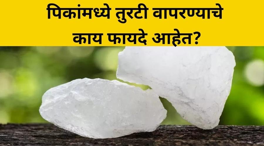 Benefits of using alum in agriculture