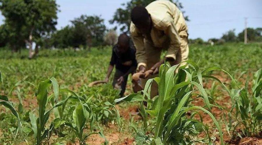 Crop Insurance Scheme