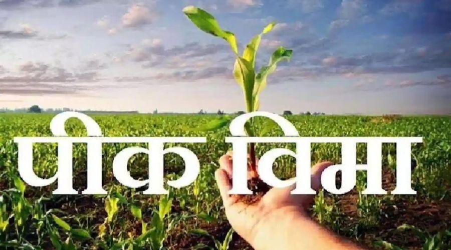 Crop Insurance