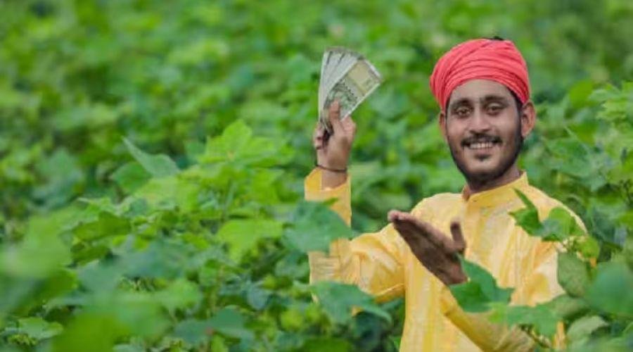 Crop competition