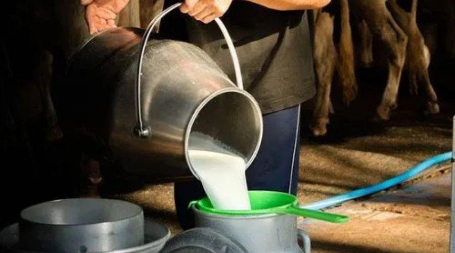 Milk Price