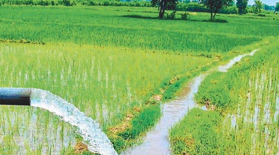 Agriculture News