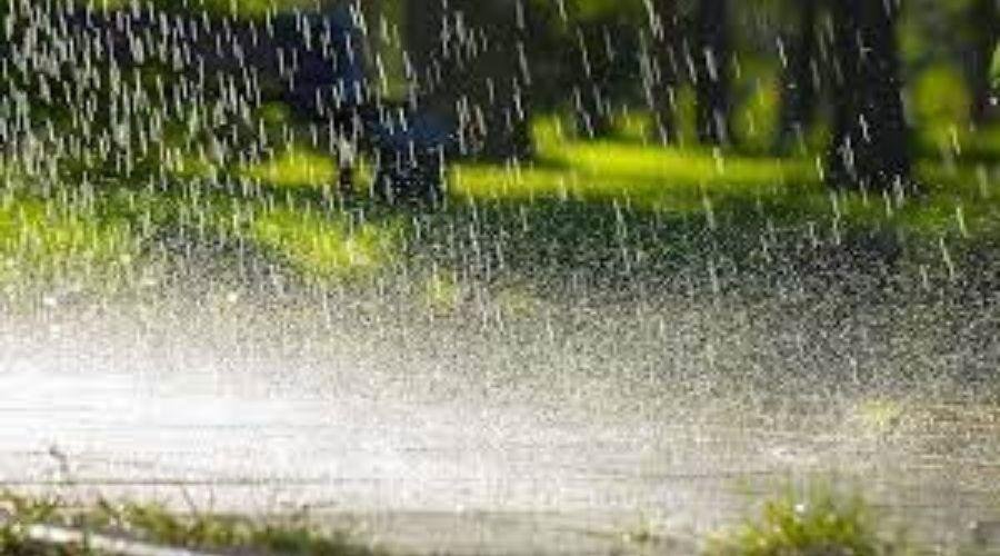 Unseasonal Rain