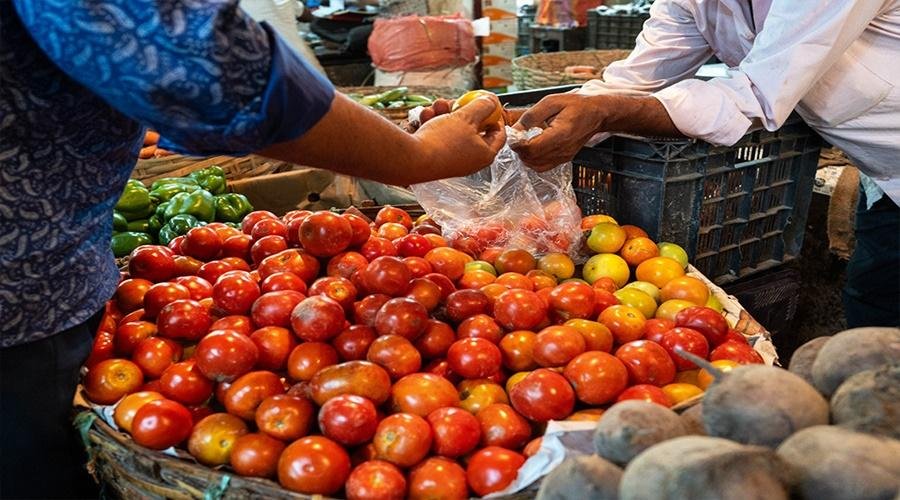 America Tomato Rate