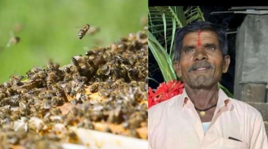 Bee Attack