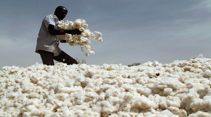Cotton Rate