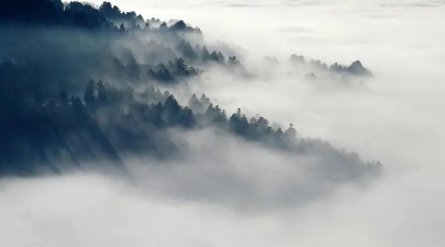 Dense Fog