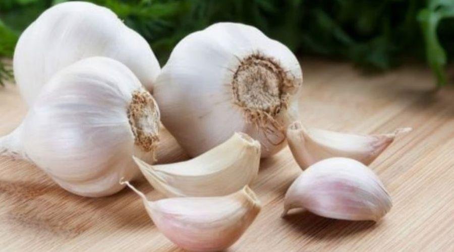 Garlic Price