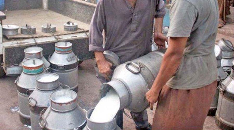 Milk Business