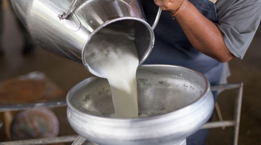 Milk Subsidy