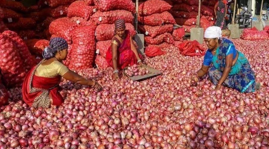 Onion Farmer