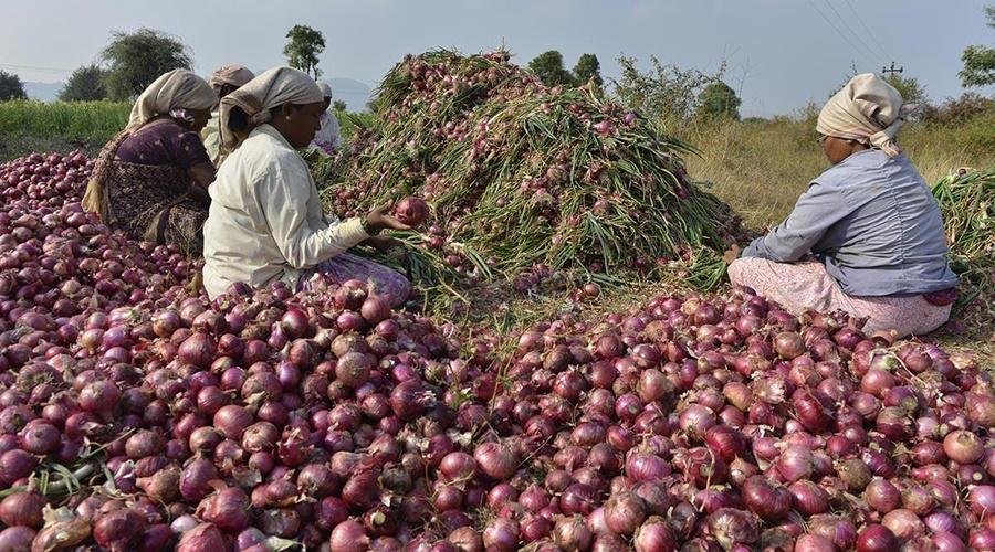 Onion Rate