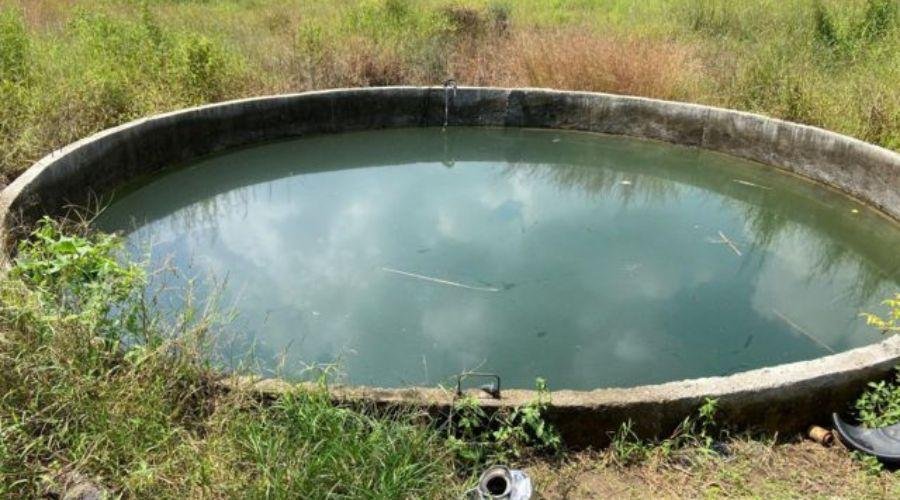 Subsidy for Well