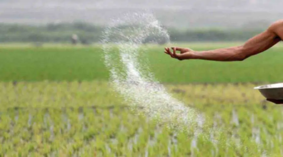 Urea Subsidy