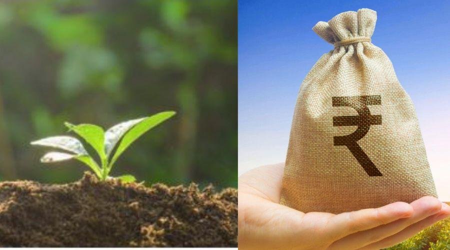 Agricultural Loans