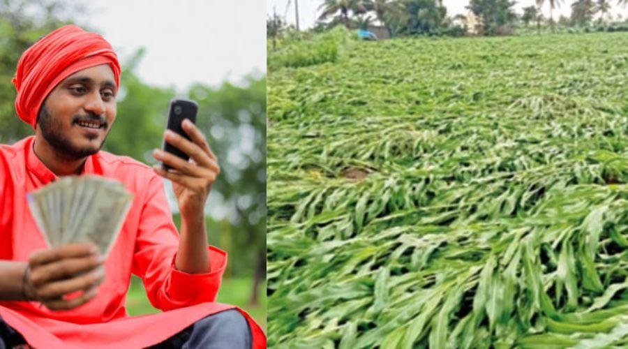 Agriculture News