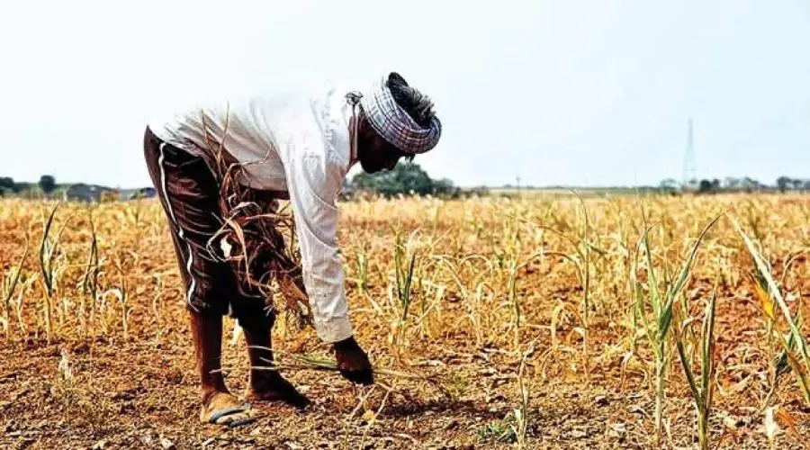 Crop Loan Subsidy