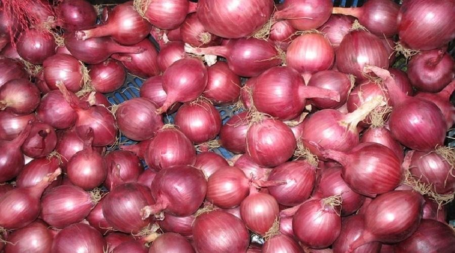 Damage Onion