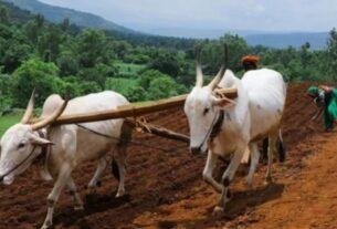 Kisan credit card