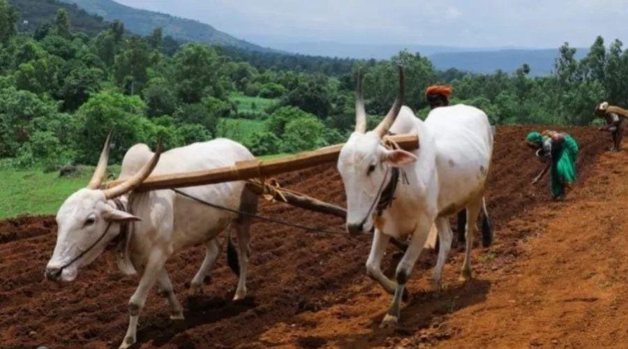 Kisan credit card