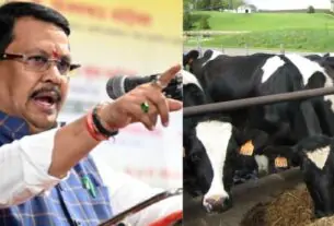 Milk Subsidy