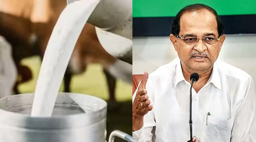 Milk Subsidy