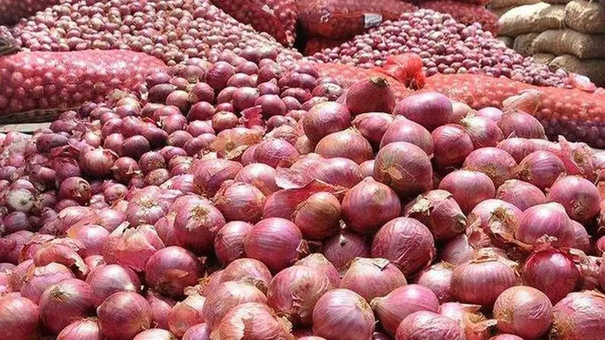 Onion Powder Project in Nashik