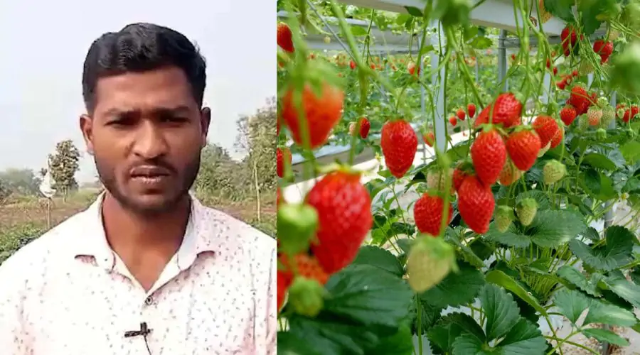 Success Story
