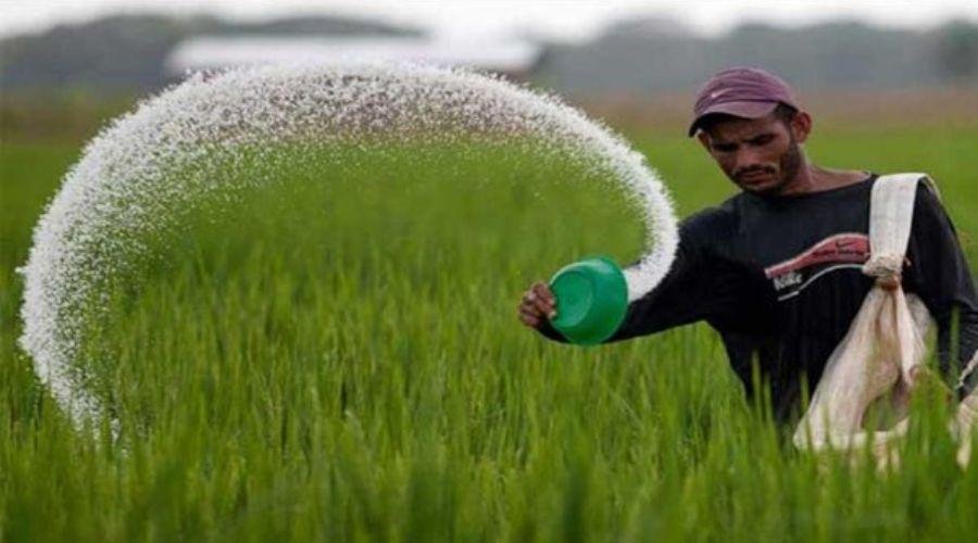 Urea Fertilizer