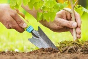 Agriculture News