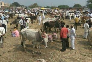 Animal husbandry