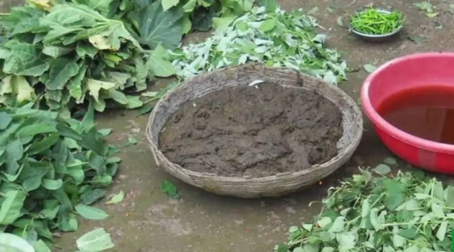 Biological Pesticides