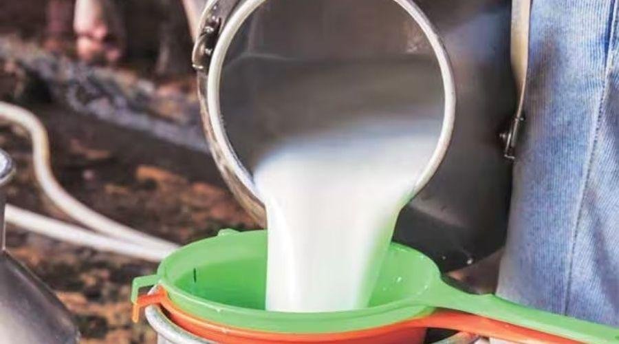 Dairy Farmers