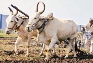 Farmer Scheme