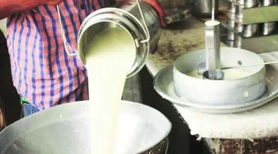 Milk production