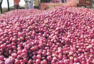 Onion Export Ban Lift