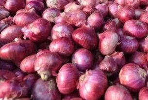 Onion rate
