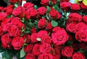 Rose Flower Demand